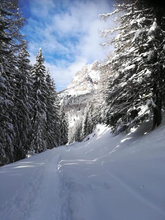 Vista Pelmo Lägenhet Colle Santa Lucia Exteriör bild