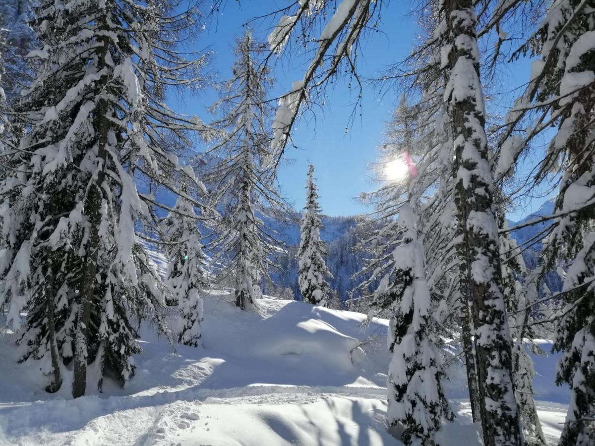 Vista Pelmo Lägenhet Colle Santa Lucia Exteriör bild